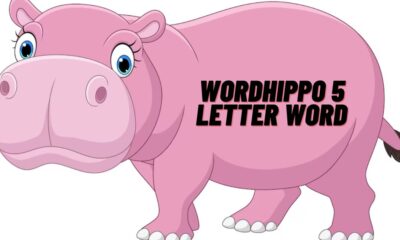 wordhippo 5 letter word