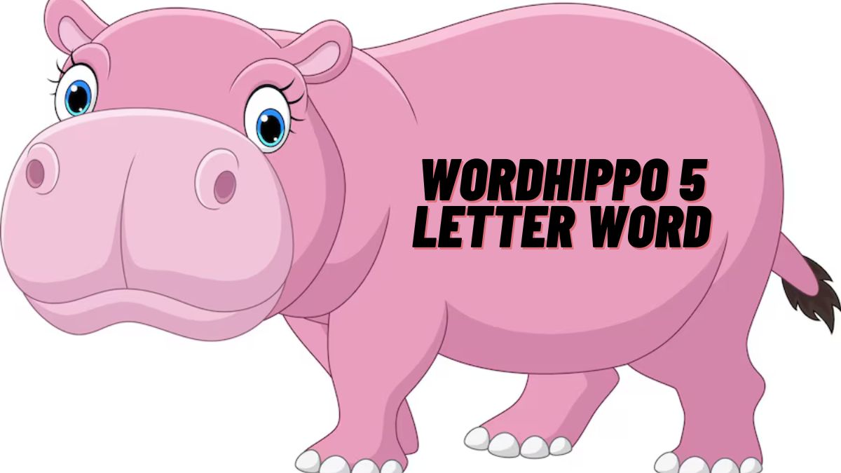 wordhippo 5 letter word